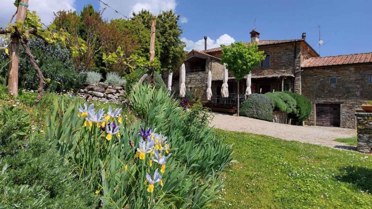 Locanda Del Viandante B&B อันกิอารี ภายนอก รูปภาพ