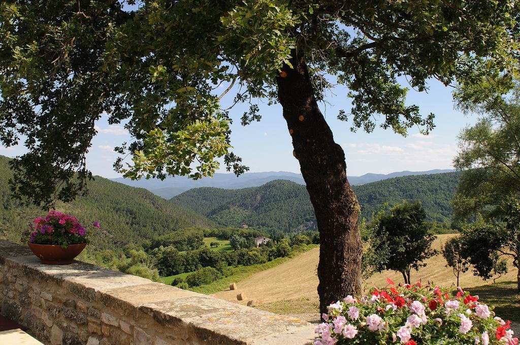 Locanda Del Viandante B&B อันกิอารี ภายนอก รูปภาพ