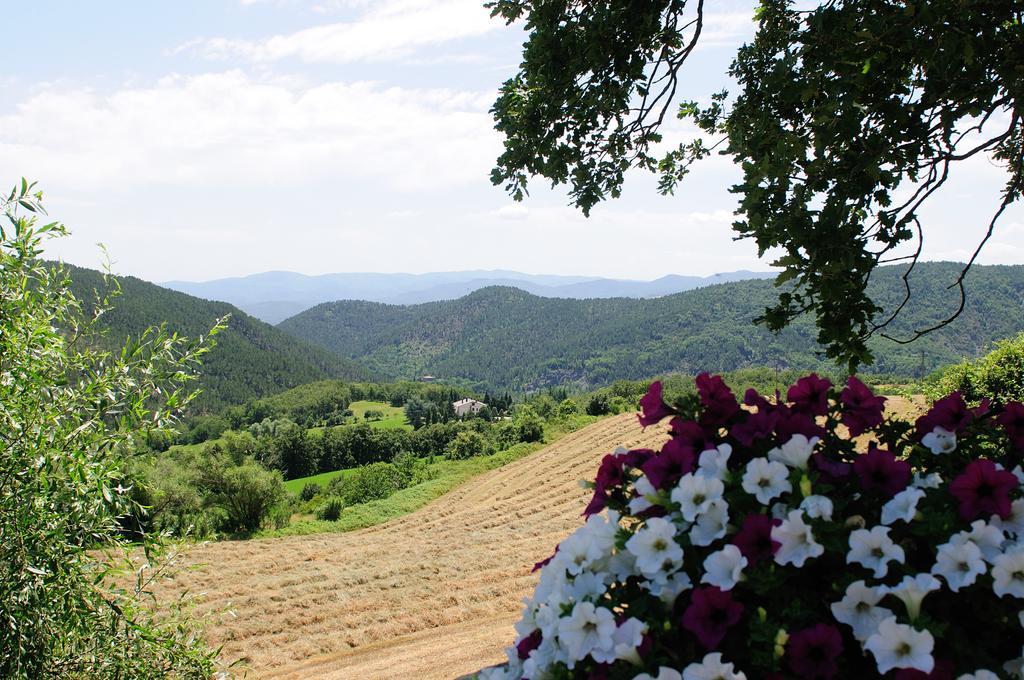 Locanda Del Viandante B&B อันกิอารี ภายนอก รูปภาพ